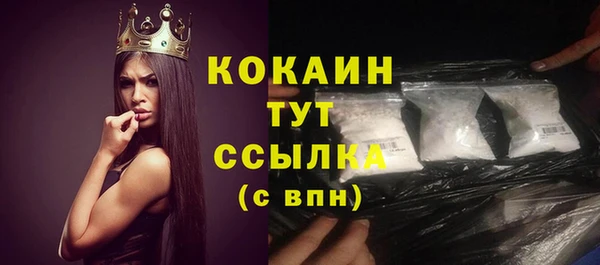 ГАЛЛЮЦИНОГЕННЫЕ ГРИБЫ Костерёво