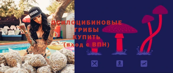 соль курить ск Краснослободск