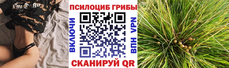 гидра маркетплейс  цены   Костерёво  Галлюциногенные грибы ЛСД 